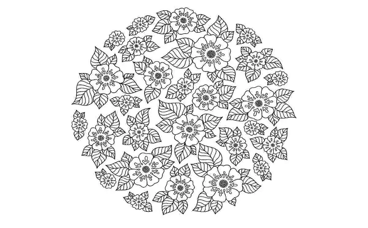 Flower: SL66uib5x0i= Coloring Pages