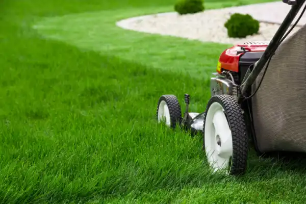 Always Green Landscaping: Leading Lawn Care Service